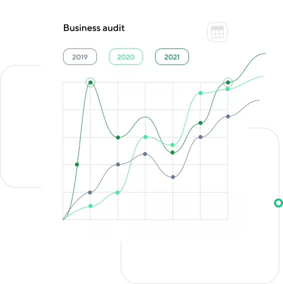 Business Auditing