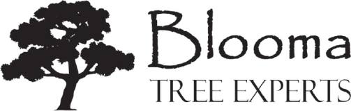 Blooma Tree Experts