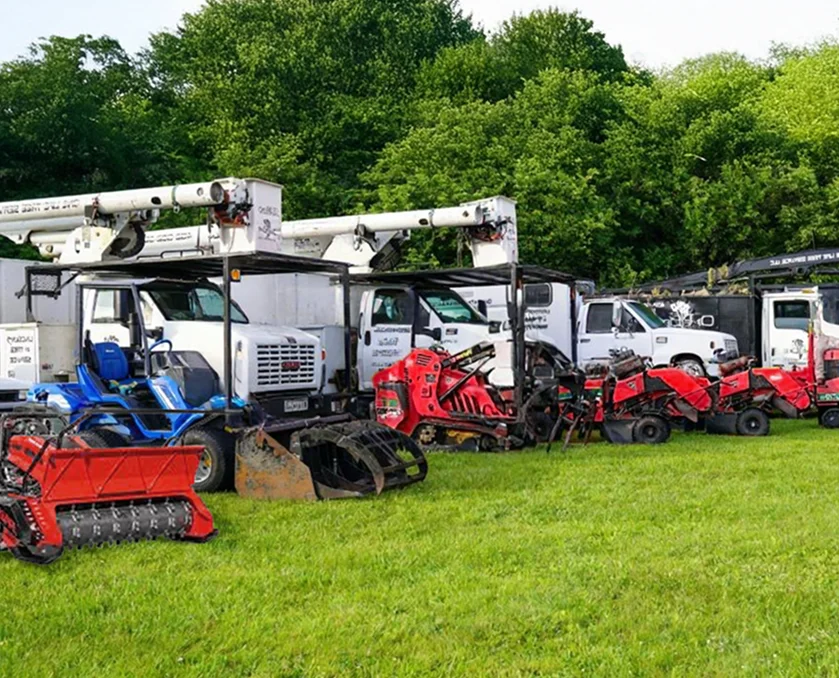 Multi-branch tree care company using ArboStar