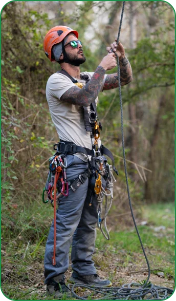 Crew preparing tree work managed in ArboStar