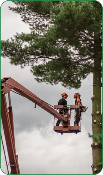 Crane job scheduled through ArboStar
