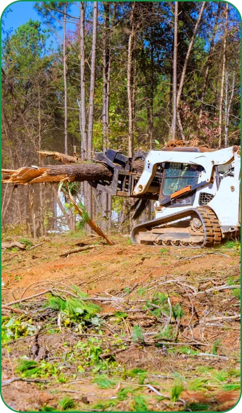 Tree removal job in progress