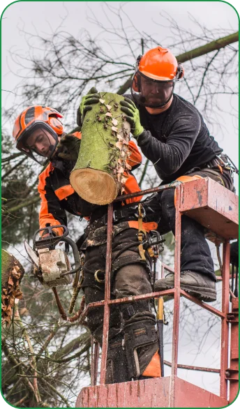 Tree care crew members reviewing a job