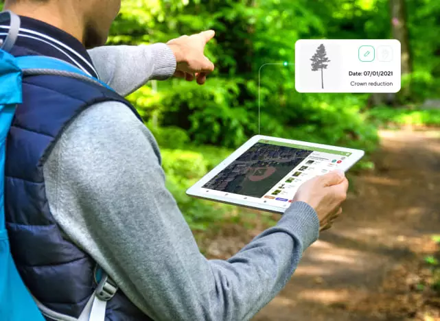 GPS tree inventory map in ArboStar